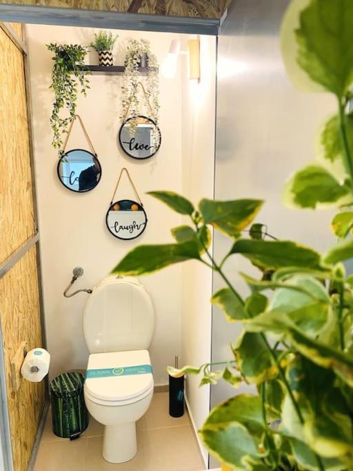 Urbanjungle-studio σε ξέφωτο μες στην πόλη Apartment Patras