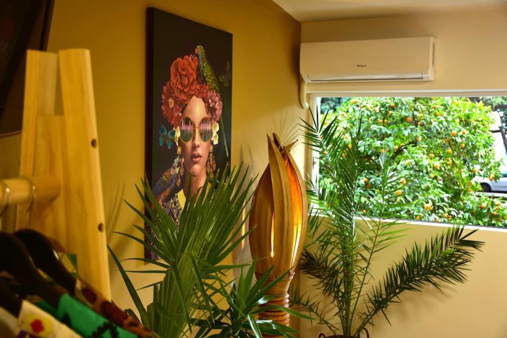 Urbanjungle-studio σε ξέφωτο μες στην πόλη Patras