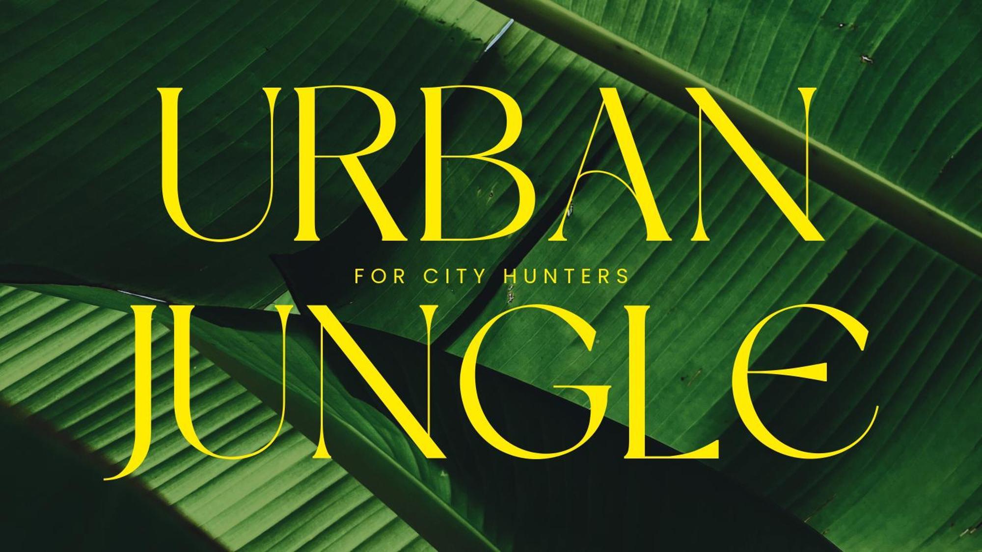Urbanjungle-studio σε ξέφωτο μες στην πόλη Apartment